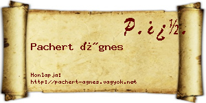 Pachert Ágnes névjegykártya